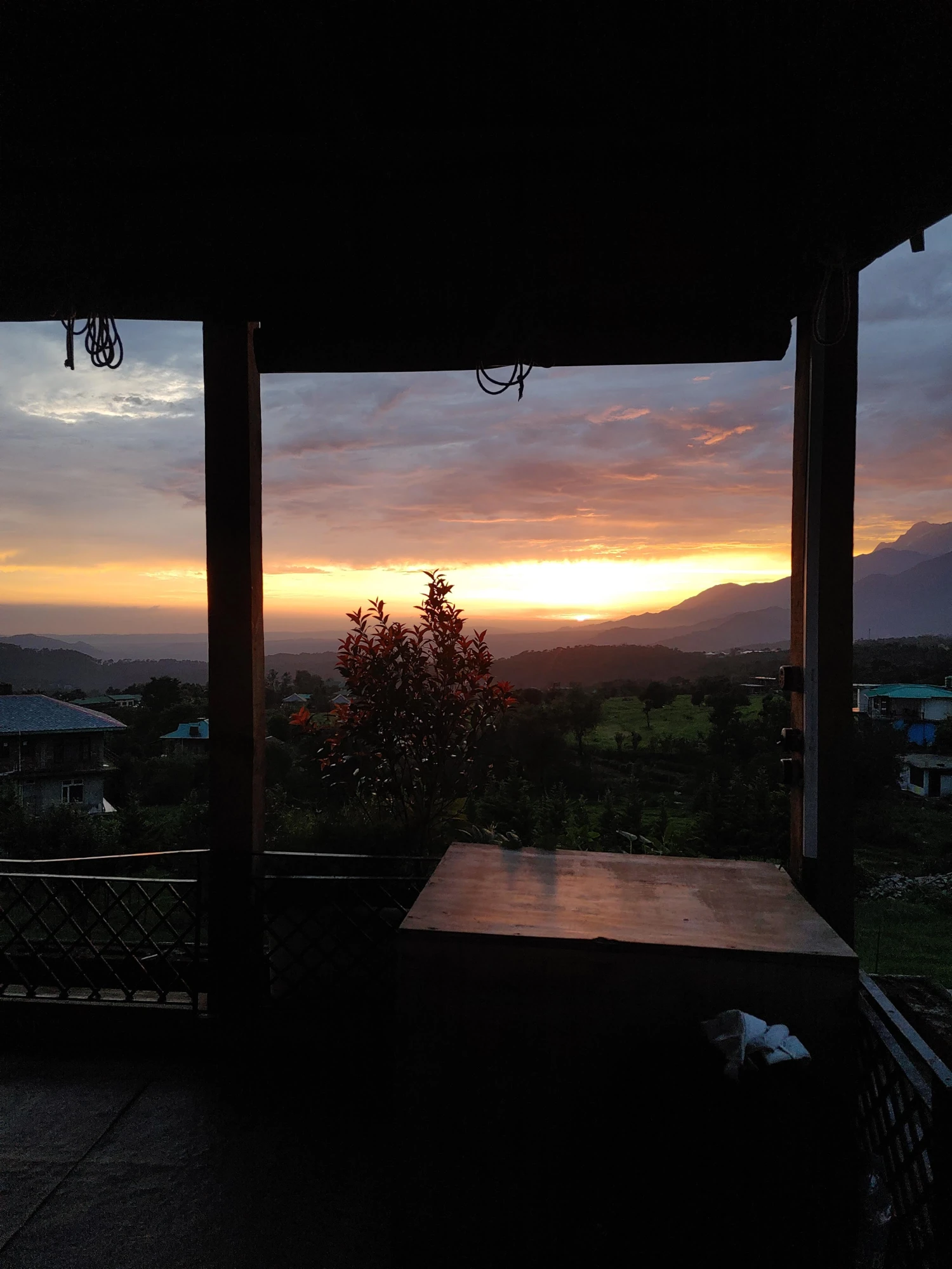 Bir Local - Cafe Hopping