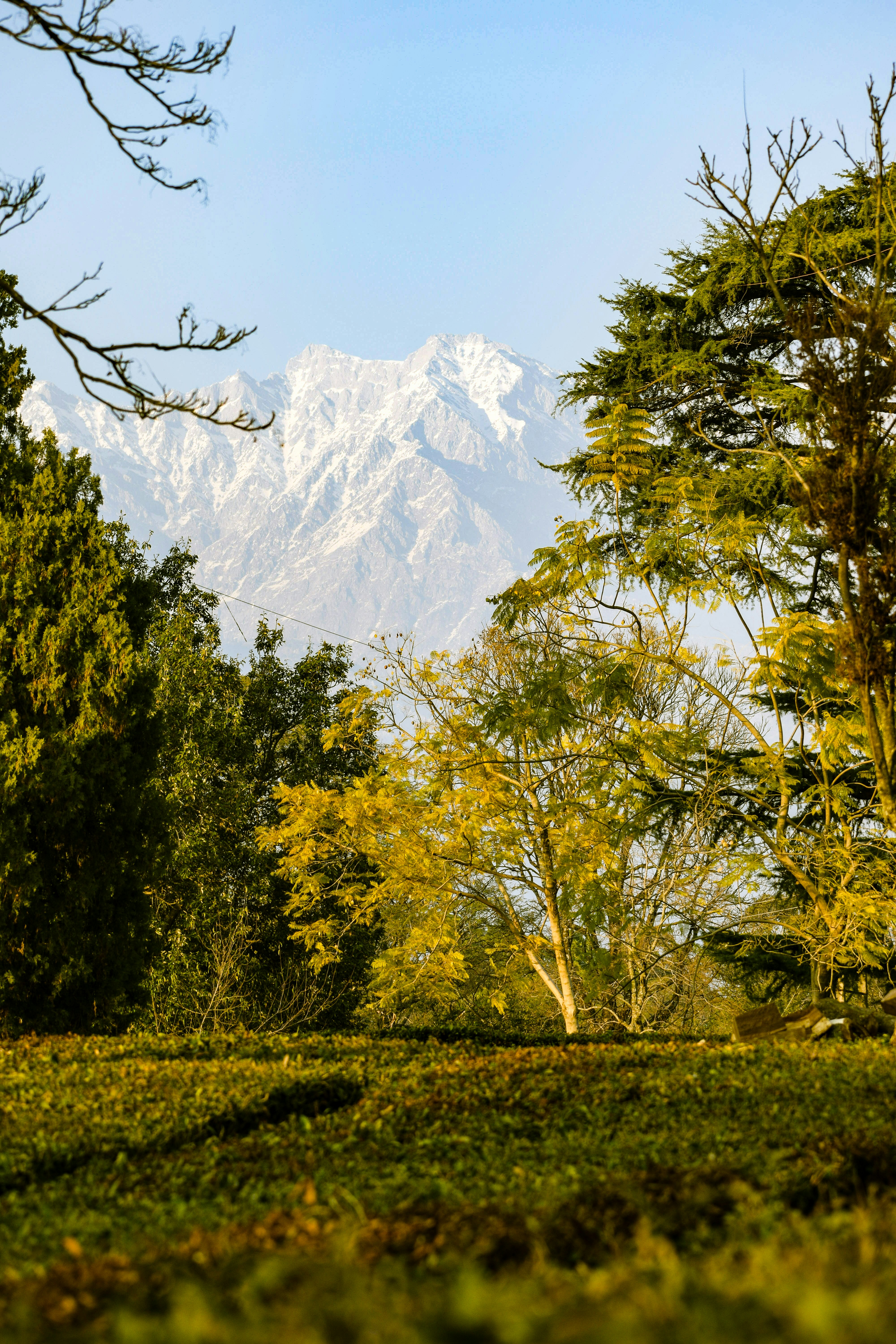 Bir - Palampur